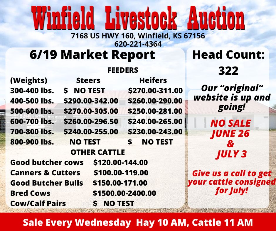 Wednesday Market Winfield Livestock Auction